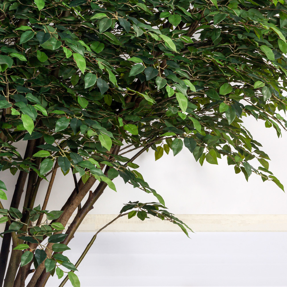 250/РН/344(Пр)(F) Фикус искусственный h250см на основании_2