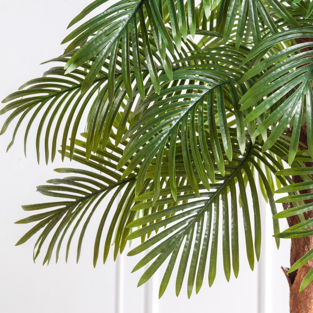ПС220/50(з)(F) Пальма Арека искусственная h220см, латекс_1