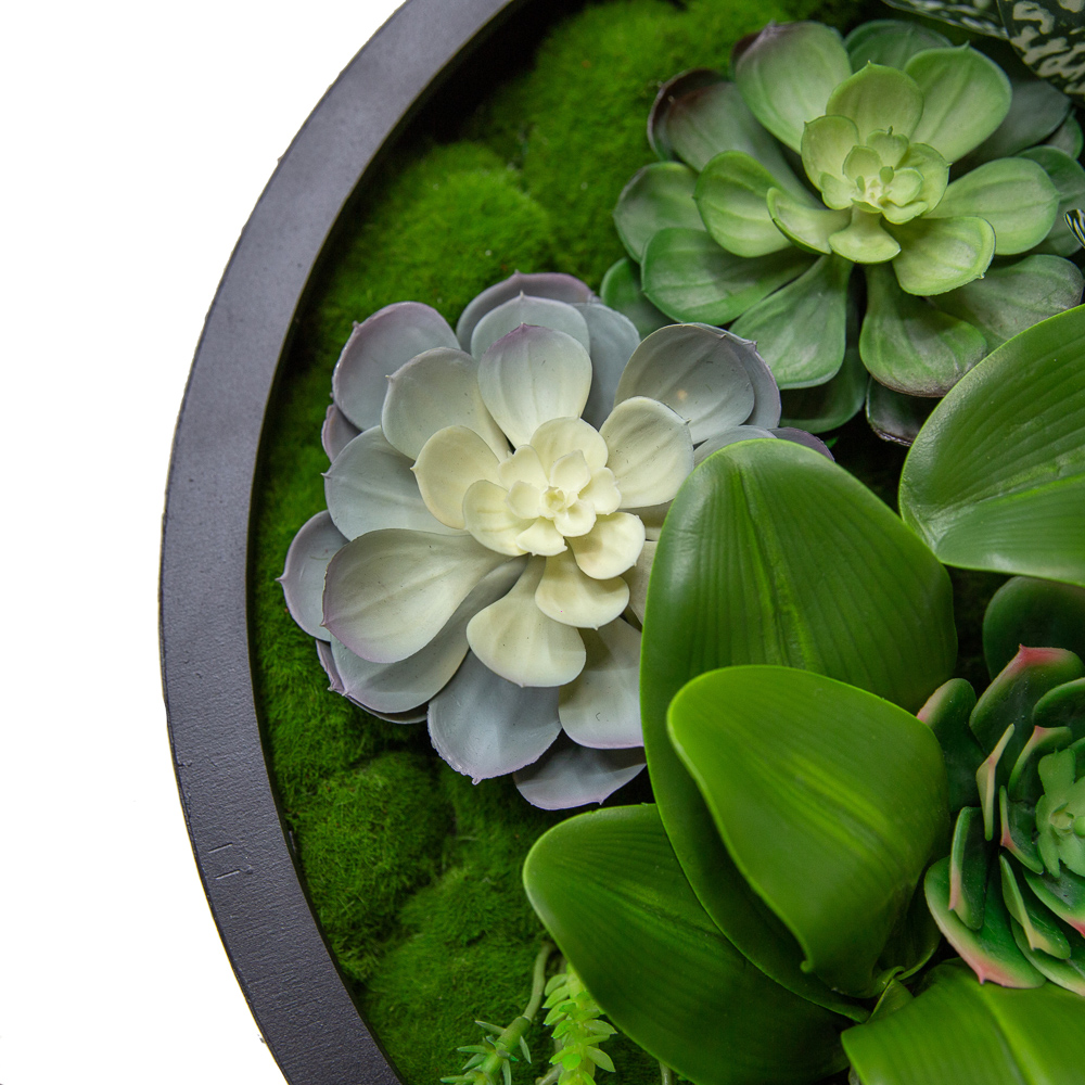 Фитопанно 04-1 с подсветкой 55*h120см_4