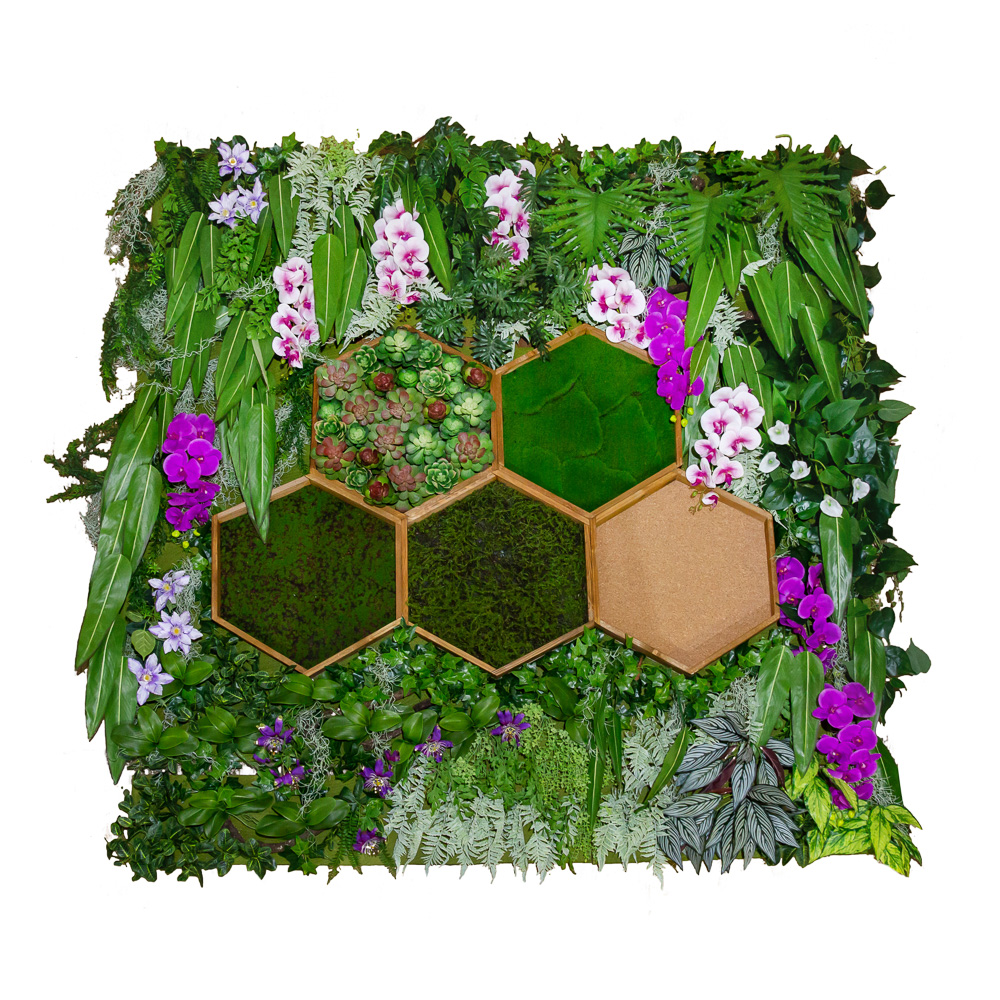 Фитостена 101_5