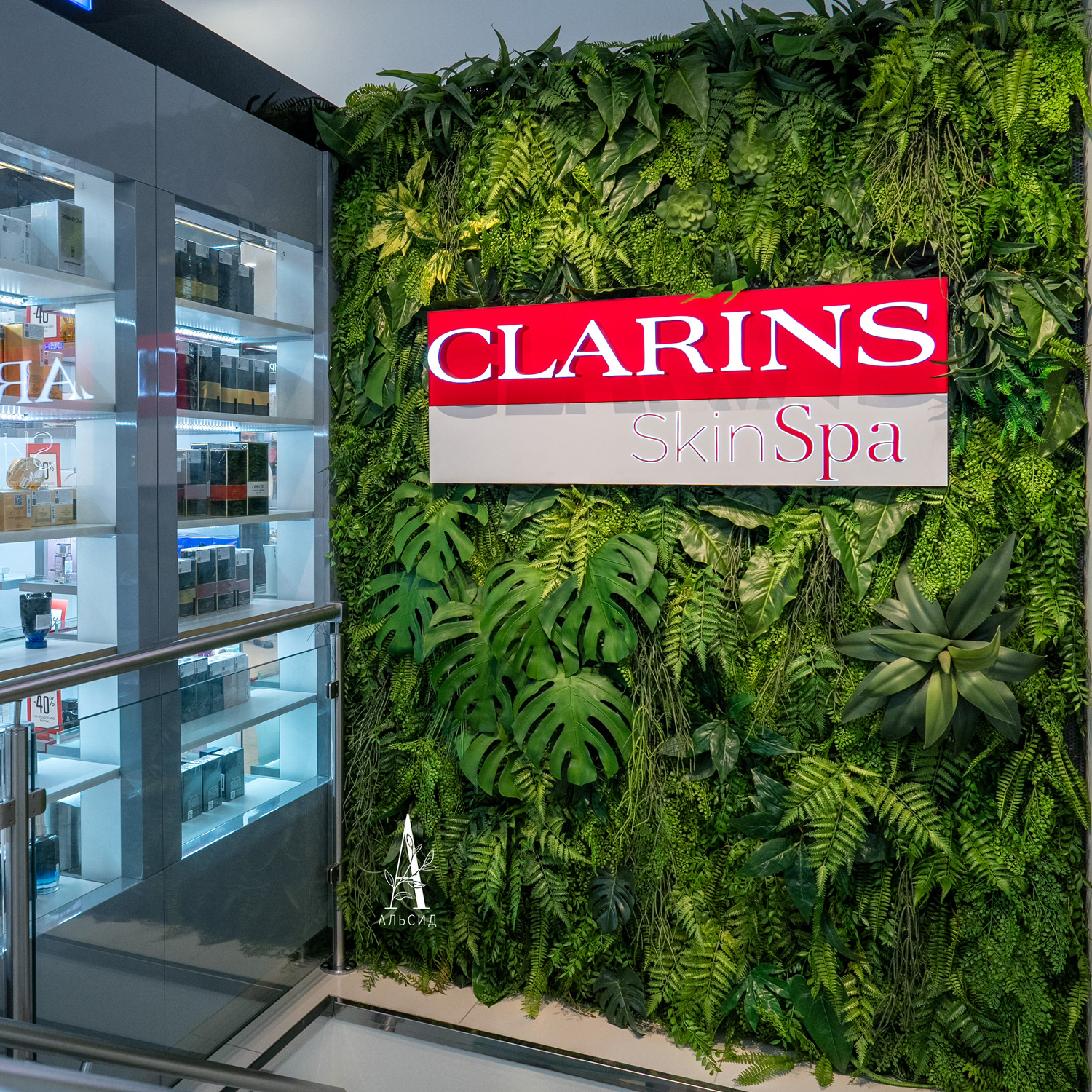 ФТС93 Фитостена Микс из папоротников, за 1кв.м_8