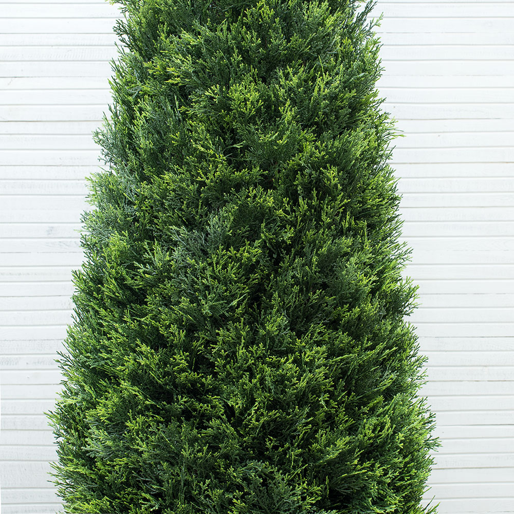 Т210-146(з) Туя-конус 