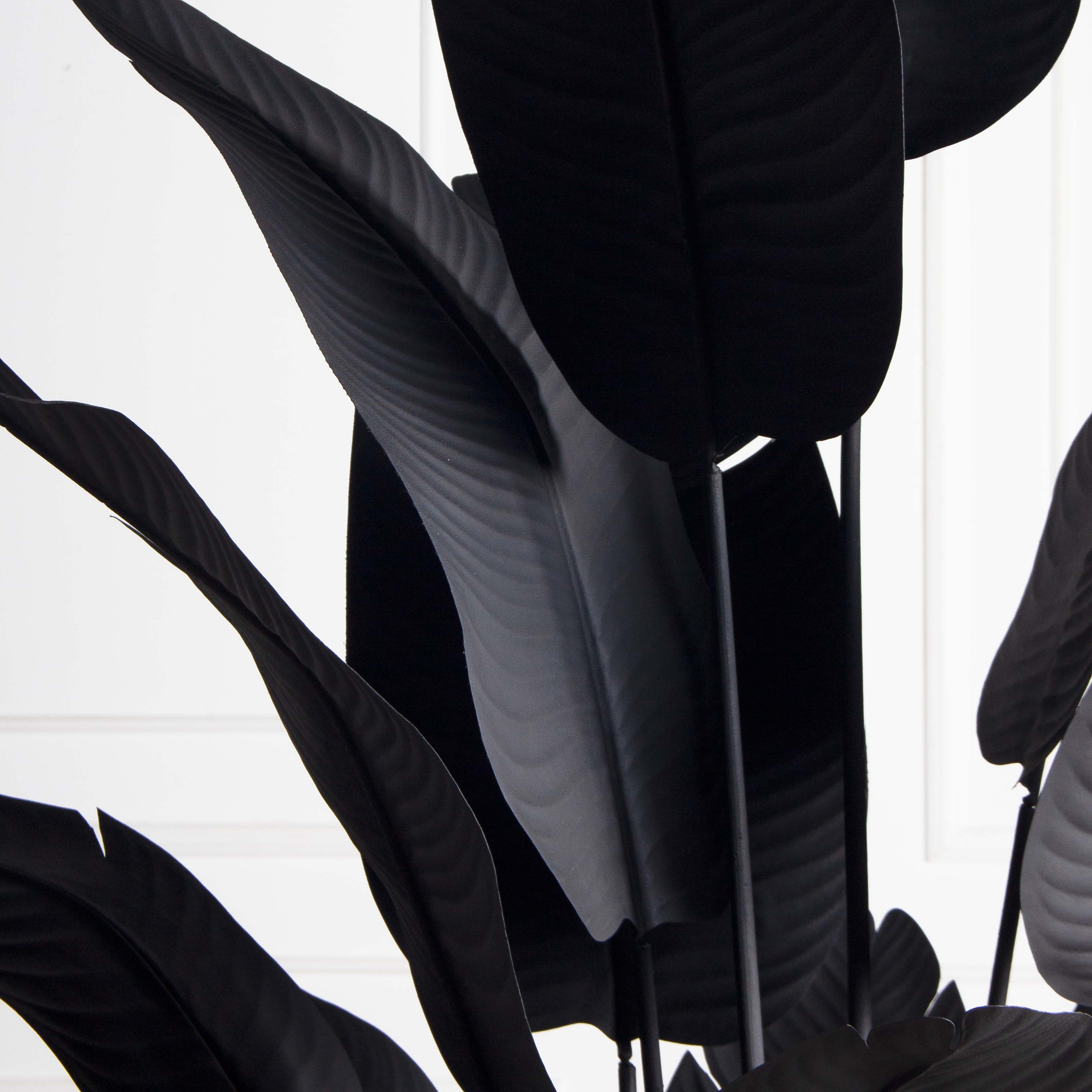 ПЦ200/К/360(з)(F) Банановая Пальма h200см (черная) в интерьерном кашпо_7