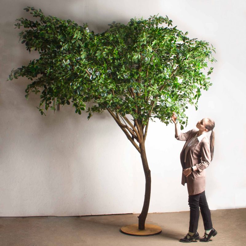 300/РН/84-2(з)(Пр)(F) Шеффлера искусственная h300см_1