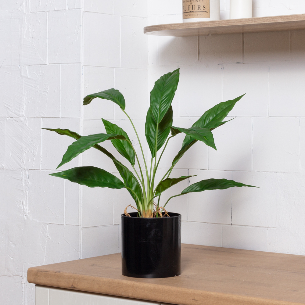 ЦС212-1(F) Калатея искусственная,  зеленая_2