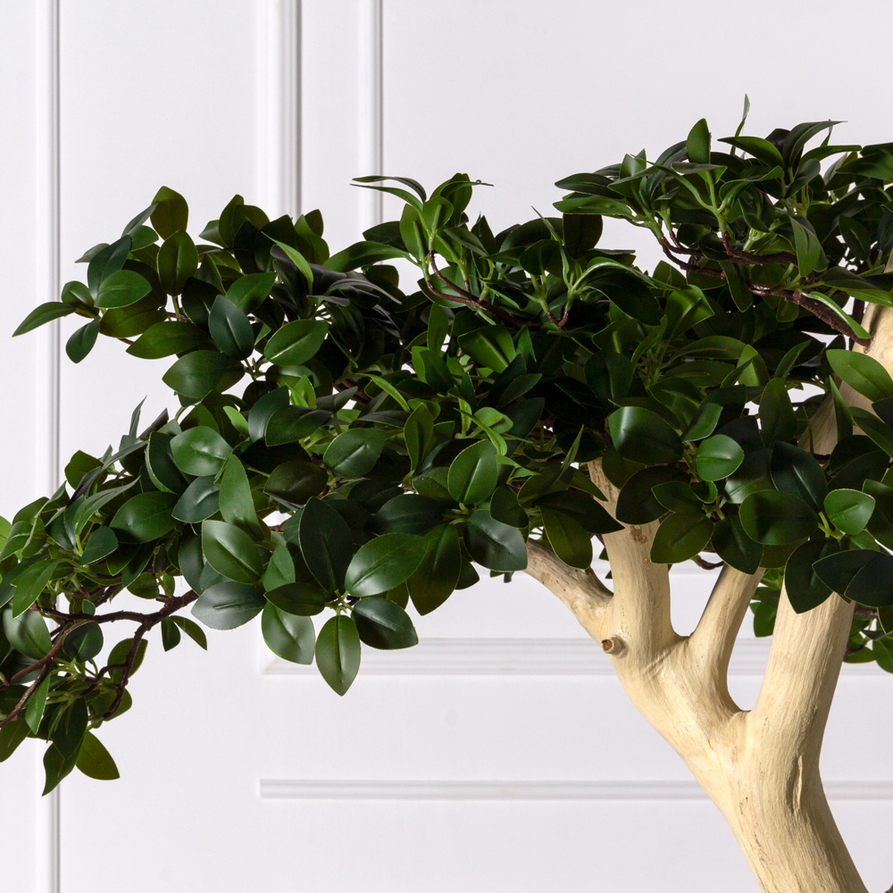 БЛ230/ДА/516(Пр) Бонсай искусственный Фикус Микрокарпа h230см (латекс) на основании _4