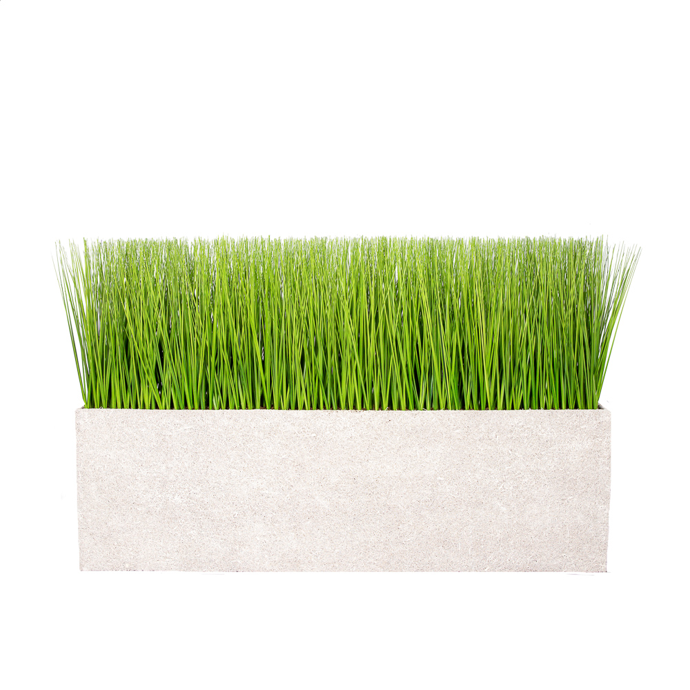 Т008-101(З) Осока h40см в кокосовом боксе(128*24*40)