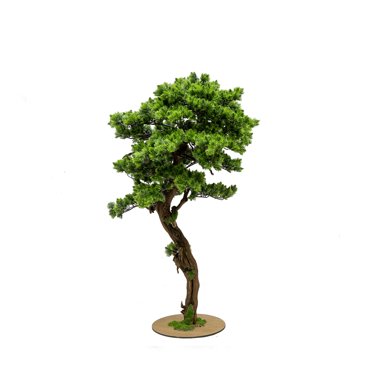 БС100/ОС/30-1(з.) Бонсай Сосна h100см на основании