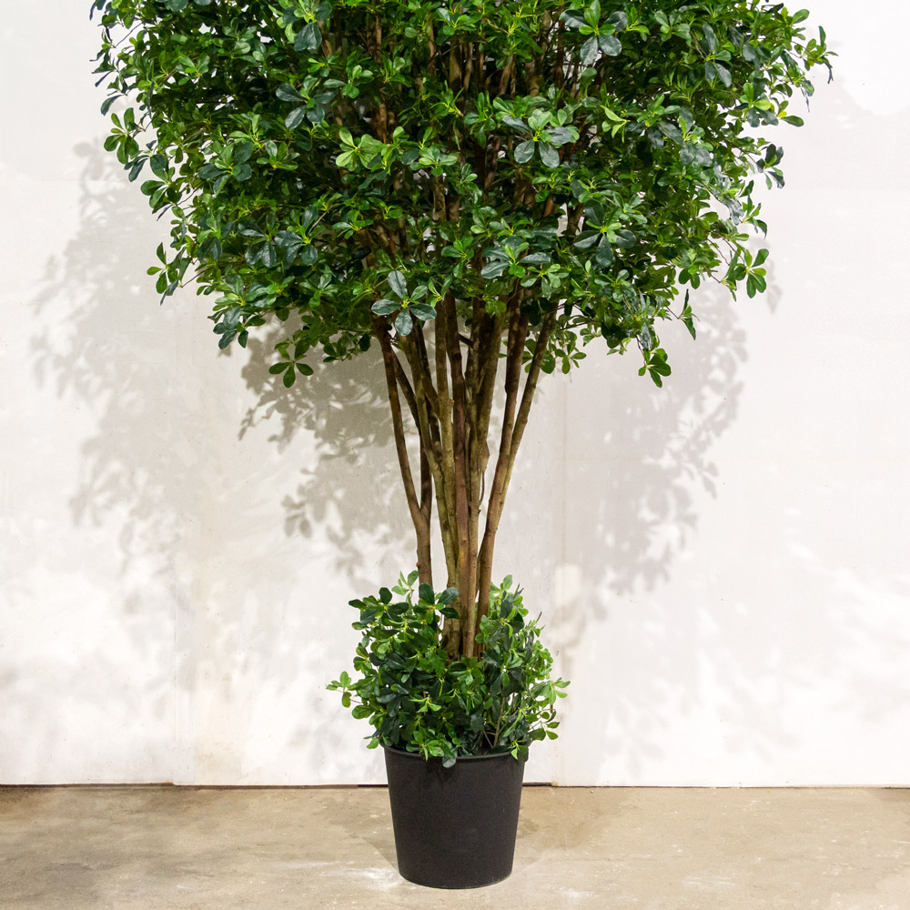 340/РН/84-2(з)(Пр)(F) Шеффлера искусственная с подкустником h340см,латекс_2