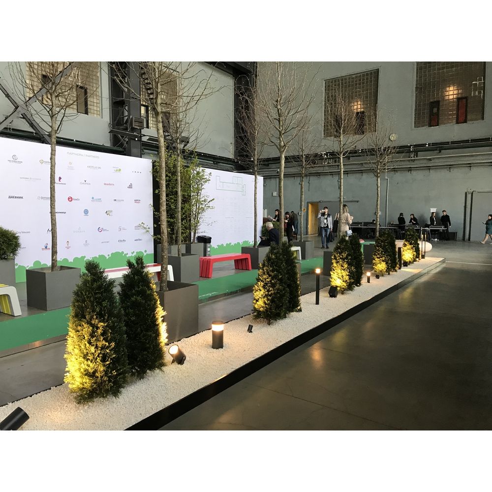 Т120/146 Туя-конуc 