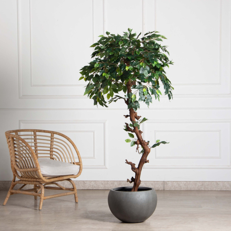 160/ОС/34(Пр)(F) Фикус искусственный h160см (латекс)_1