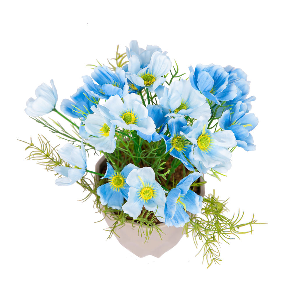 КС/О56-4 Космея (синяя) в декор. кашпо h-27см_2