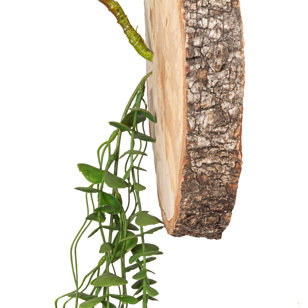 БК140/9 Композиция на березовом спиле d16-20см_3