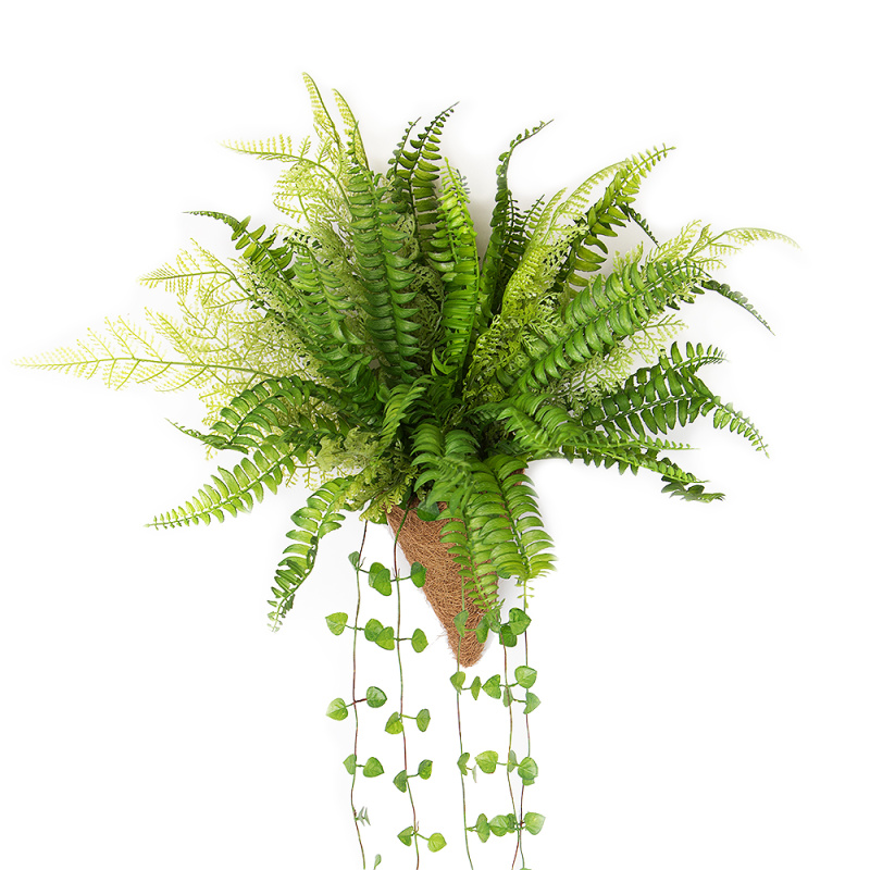 КН15-3/2(з) Папоротник ампельный h23см(силикон) в кокосовом конусе d11;h15см_1