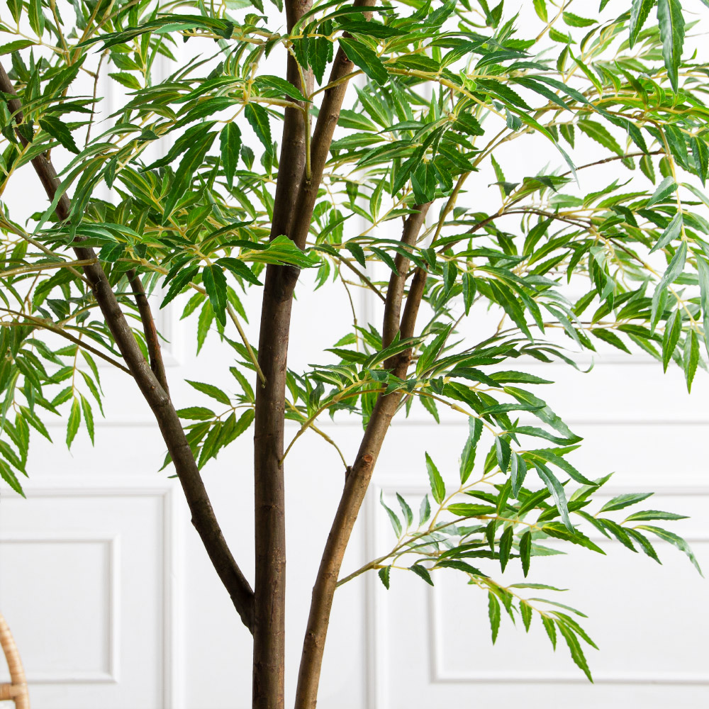 200/РН/ОК/700(Пр)(F) Магония искусственная h200см,(латекс)_6