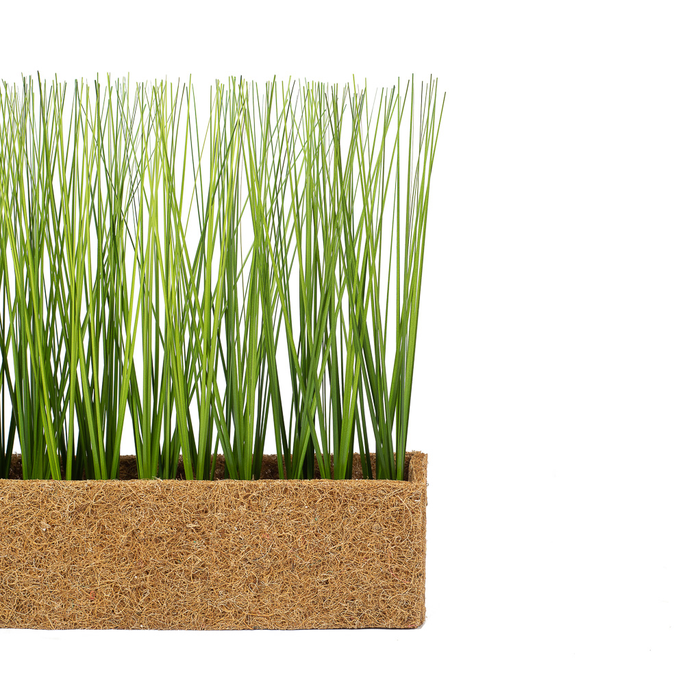 Т009 Трава h27 в кокосовом боксе (зеленая)50*10*10_1_2