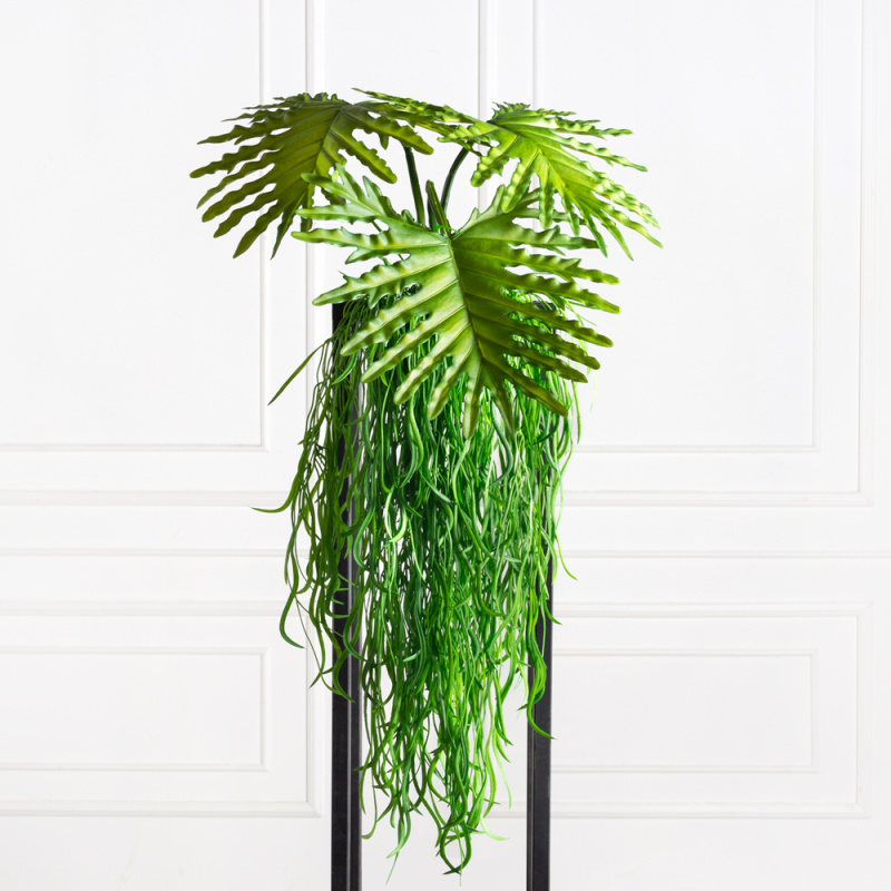 БК08(F) Композиция с филодендроном на блоке 15*h10см