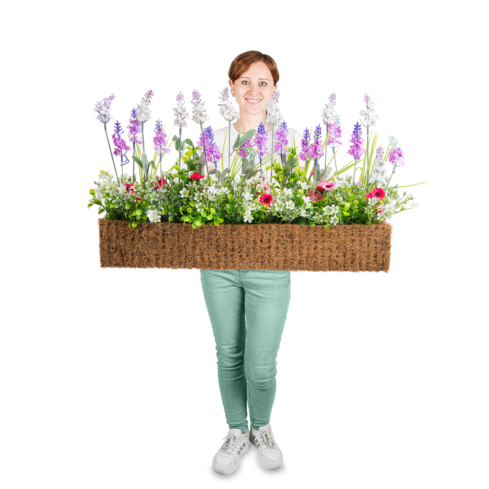 Б007-2/1 Бордюр Лаванда h17 см малиновая в кокосовом боксе 50*7*h-8 (малинов.)_4