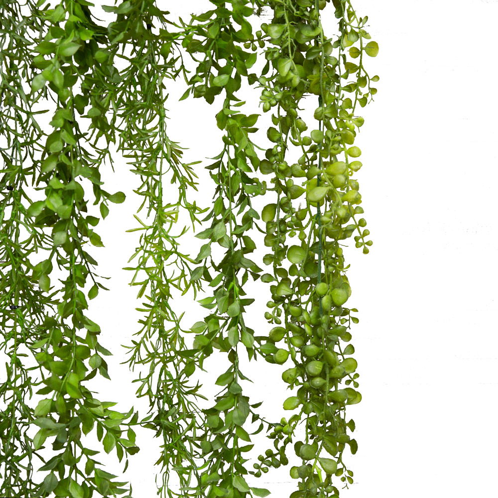 Л32 Лиана с аспарагусом L100см_2