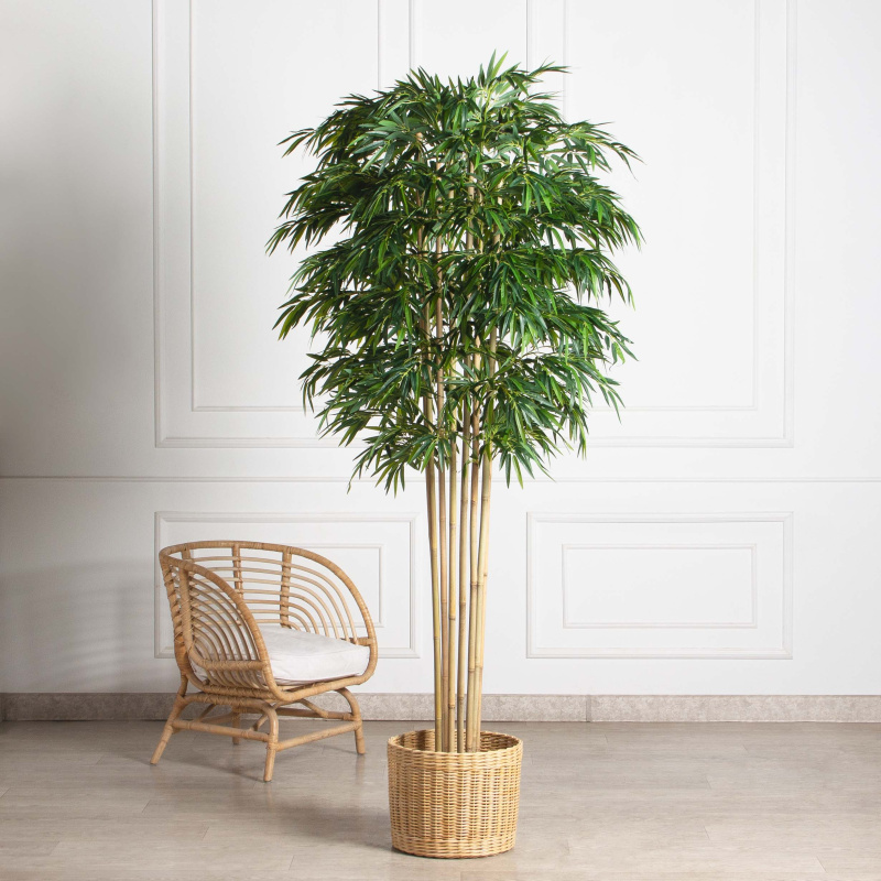 220/75/1-3(з)(Пр)(F) Бамбук искусственный 8 стволов, h220см (латекс)_1