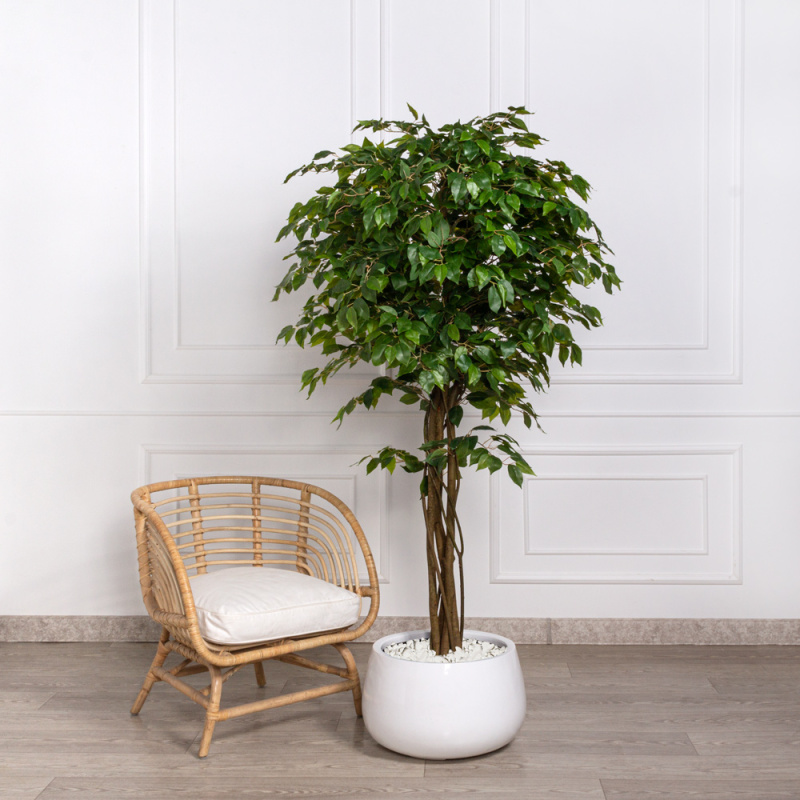 180/РН/34-3(з)(Пр) Фикус искусственный h180см