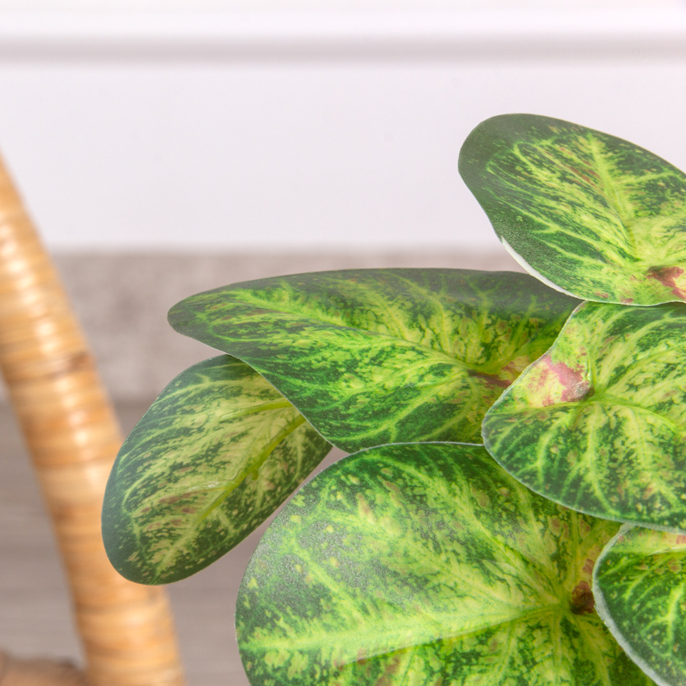 7143/0015-5 Пеперомея искусственная куст мини h15см, зелено-салатов._1