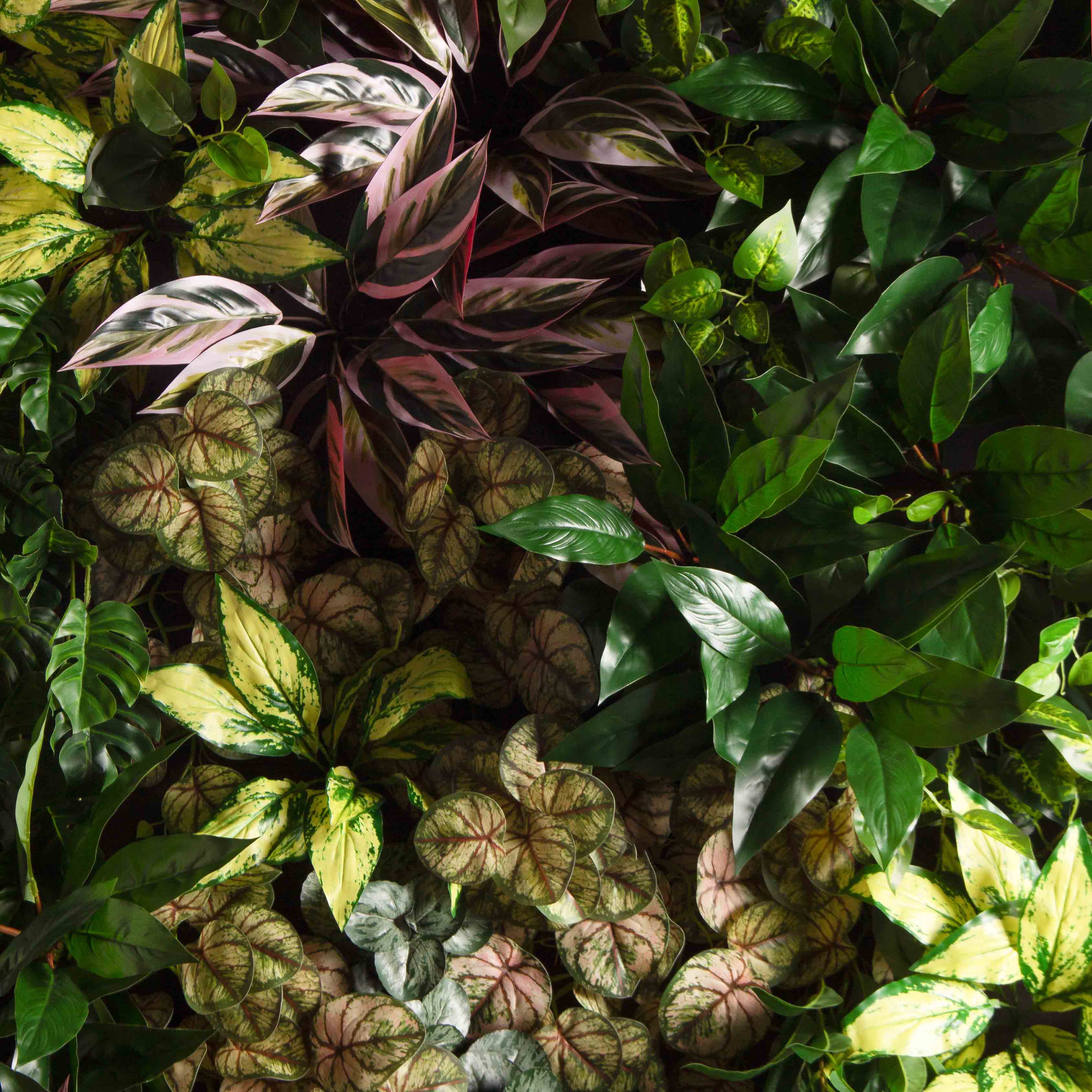 ФТС180(Пр)(F) Фитостена,  за 1кв.м_7