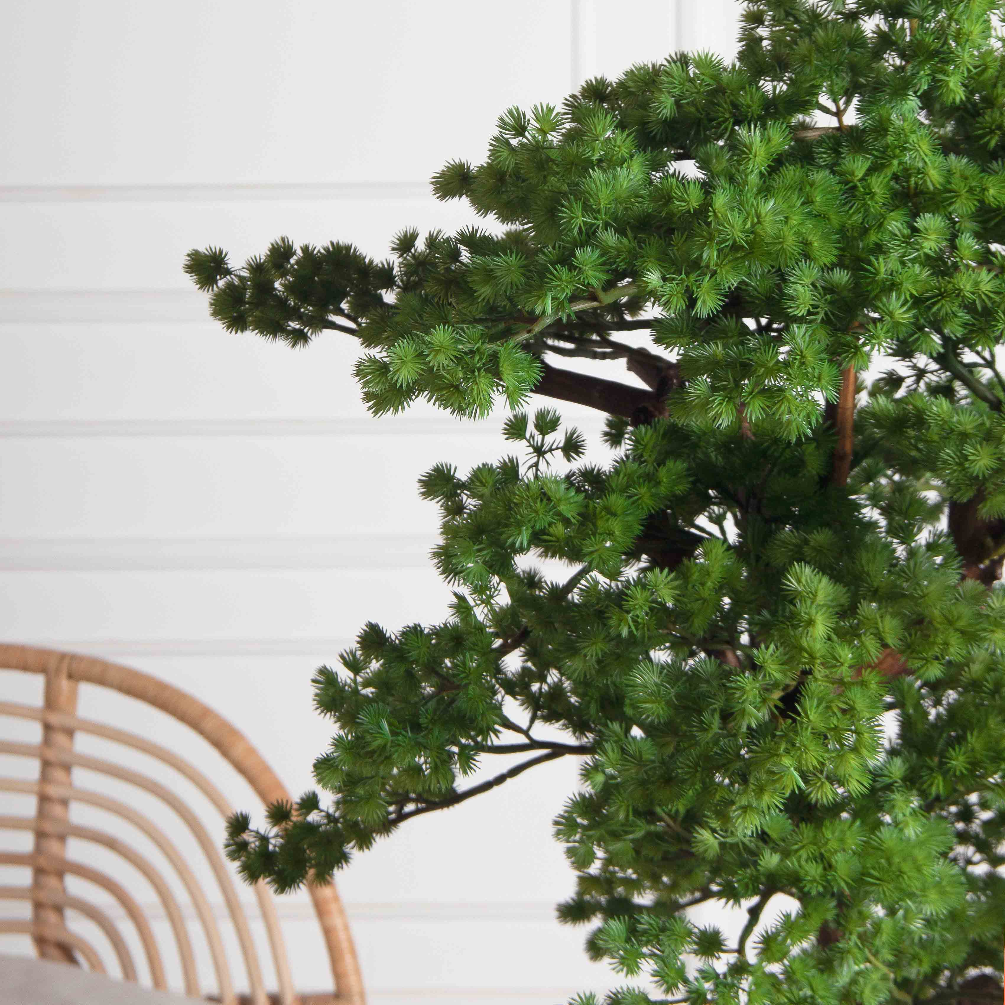 БС110/ДА/427(з)(F) Бонсай искусственный Сосна h110см_3