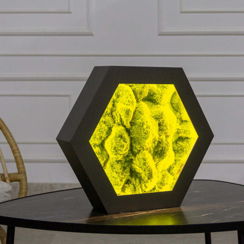 ФП22(Пр)(F) Фитопанно искусственное 