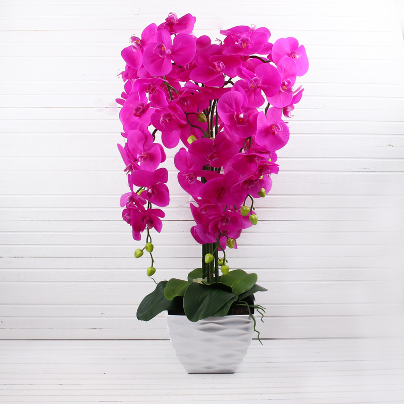 ЦК80*7/33-2(Promo) Орхидея Фаленопсис(малинов.) h-65см латекс в интер. кашпо   7 цветов