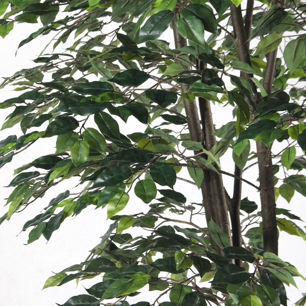 320/РН/34-2(F) Фикус искусственный h320см (3 ствола)_3