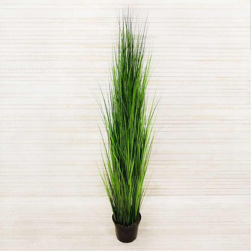 С013-3(з) Сноп из осоки h-150см (эконом) (2)-1001x1001