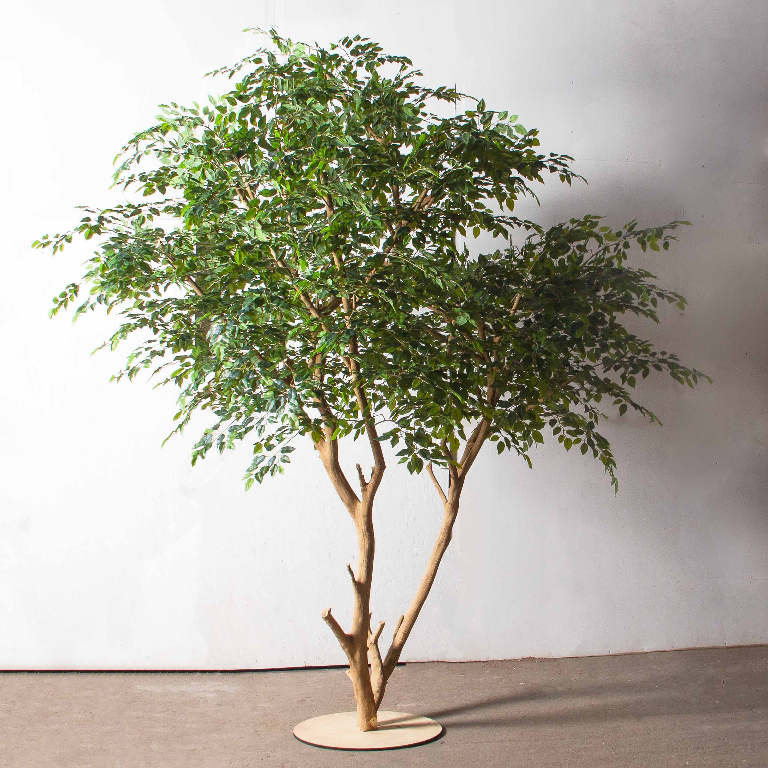 290/ДА/344(Пр)(F)Фикус искусственный h290см_2