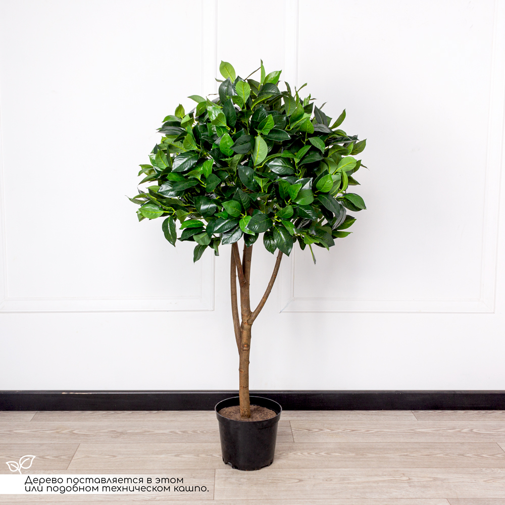 130/РН/190 Лавр искусственный камфорный h130см_3