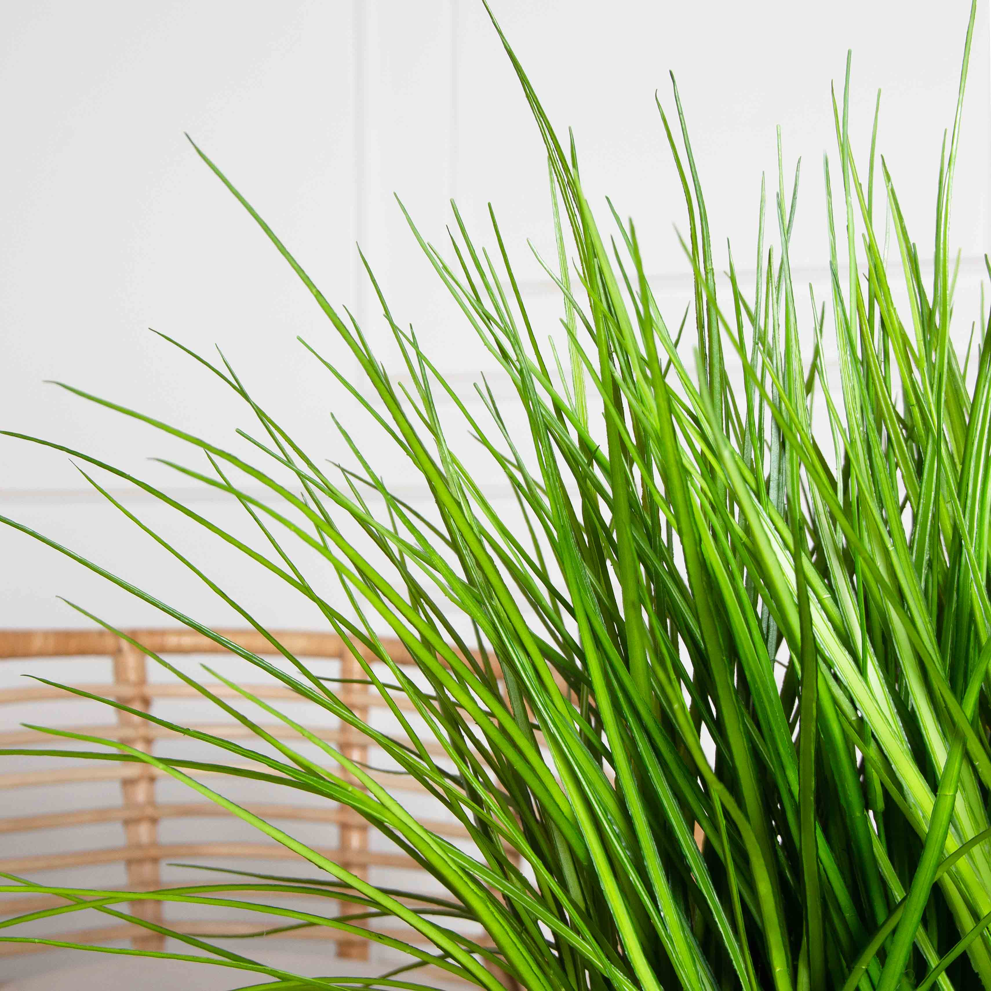 ТД078(F) Трава Осока искусственная  h40см в кокосовом боксе 50х10х10см_3