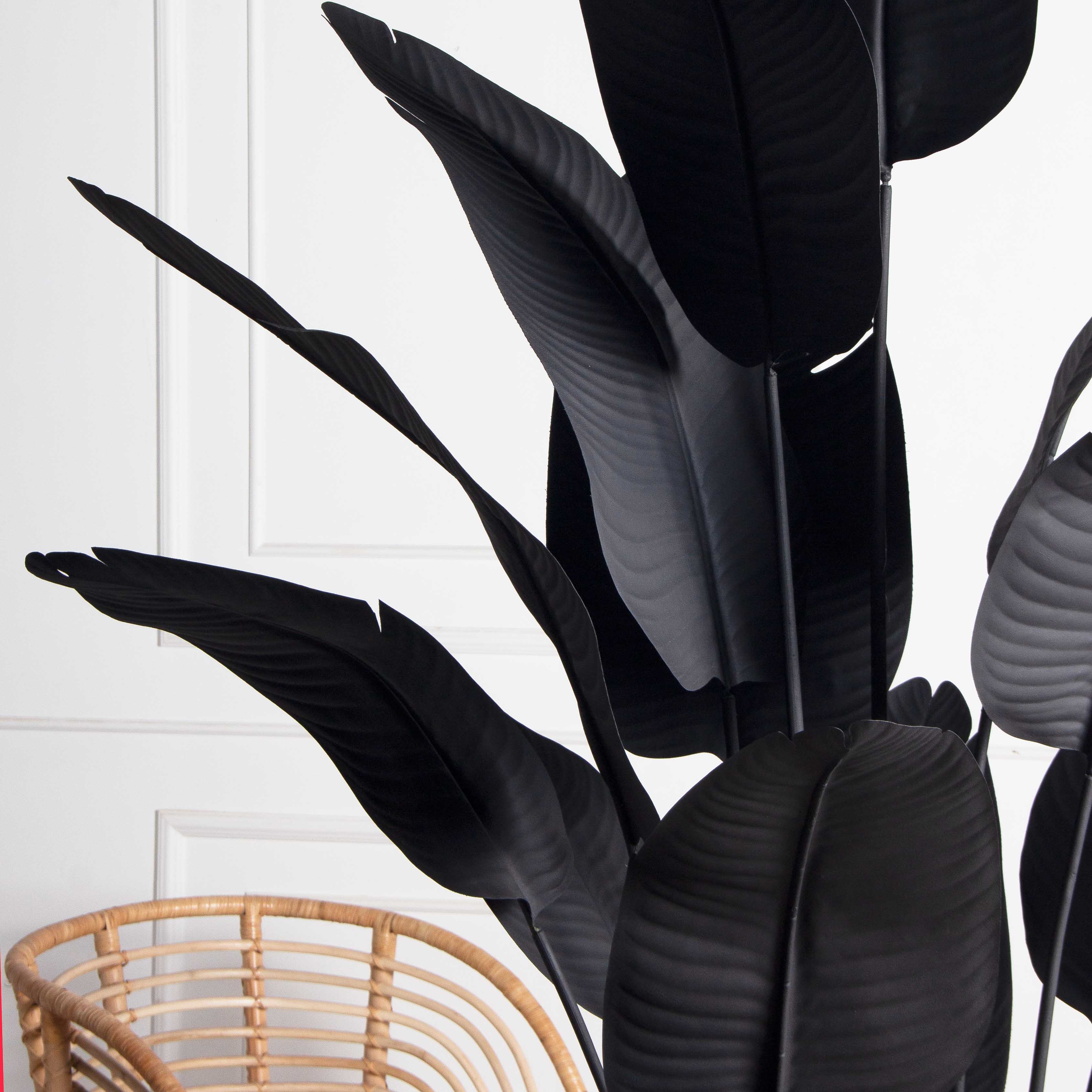 ПЦ200/К/360(з)(F) Банановая Пальма h200см (черная) в интерьерном кашпо_6