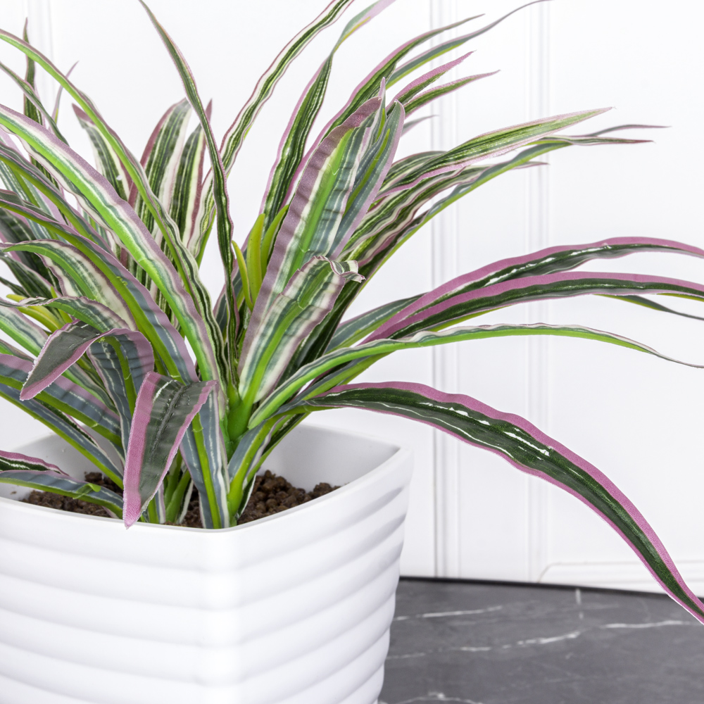 К277(з) Драцена (d-30 h-25) в ребристом кашпо(13.5*13.5*16_5