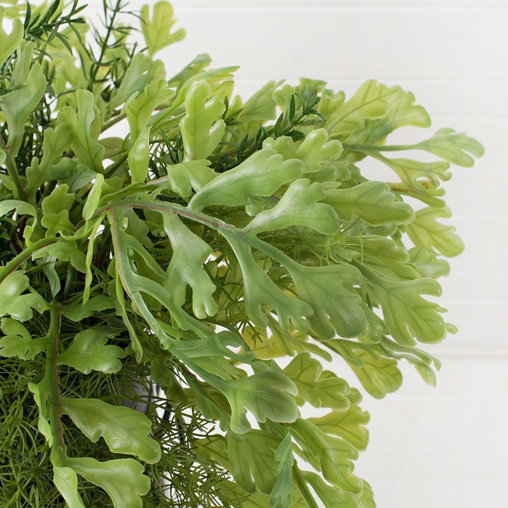 КС/МП43 Зелень ампельная (латекс) в кашпо на метал. подставке h-50см_3