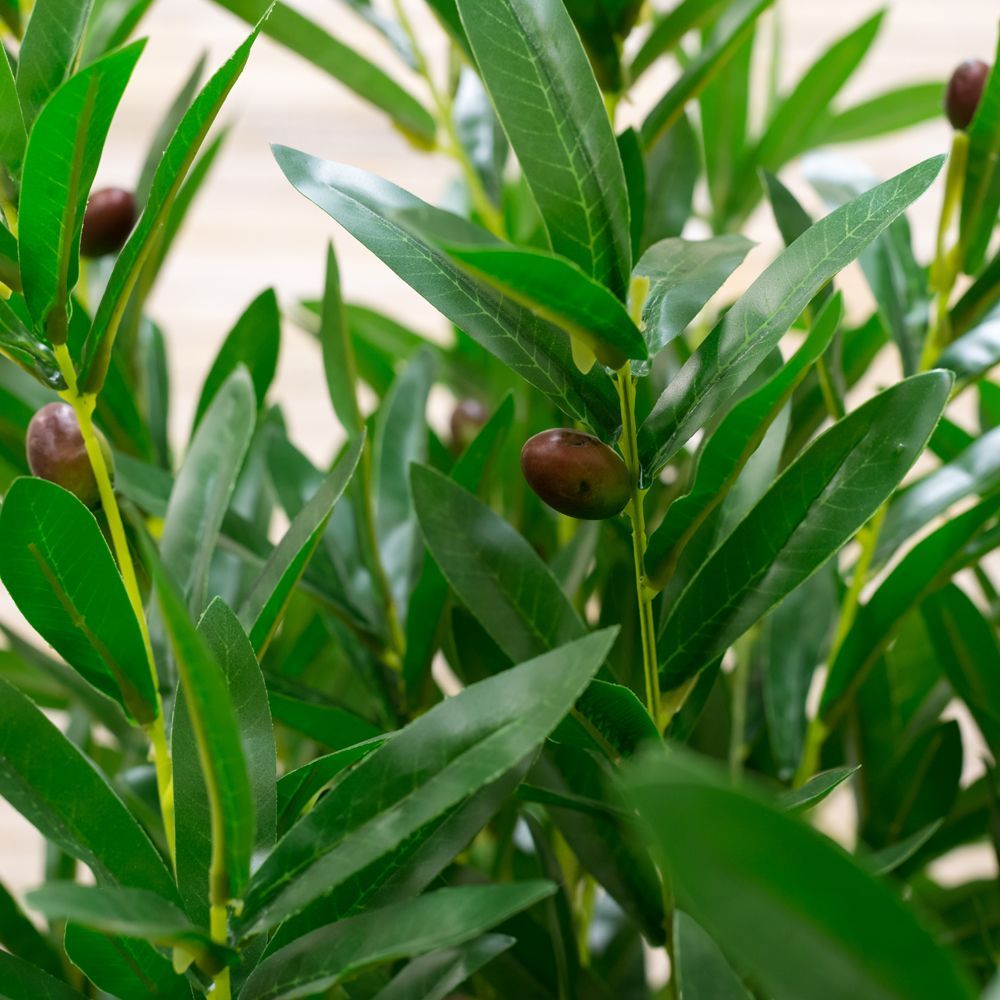 180/175 Оливковое дерево 180см (латекс)_2