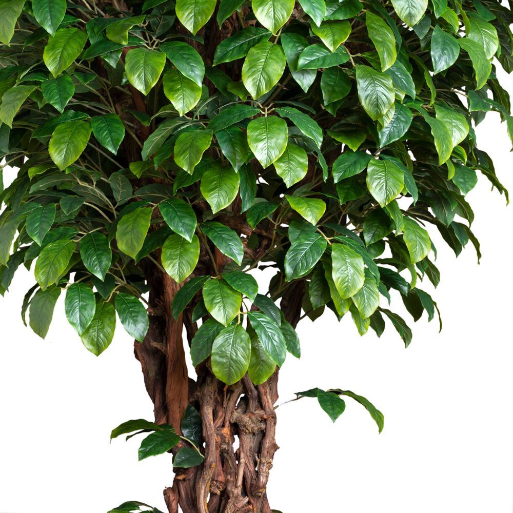 350/ОС/613(з)(УУ)(Пр) Фикус искусственный с крупным листом h350см_1