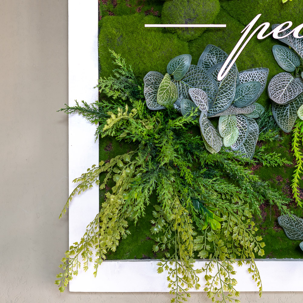 Фитокартина 82/1_2