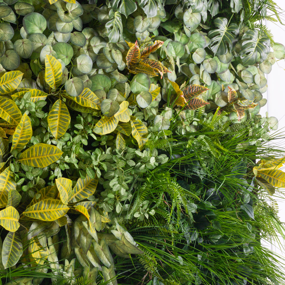 ФТС168(F) Фитостена, за 1кв.м_4