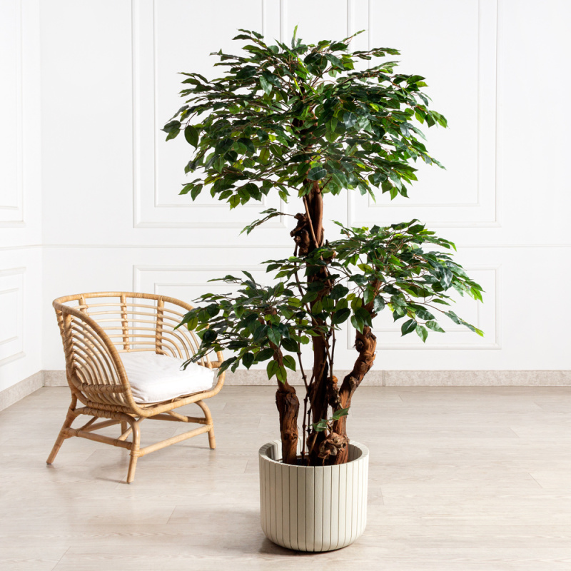 170/3К/ОС/Р/34(з)(Пр)(F) Фикус искусственный  h170см (латекс)