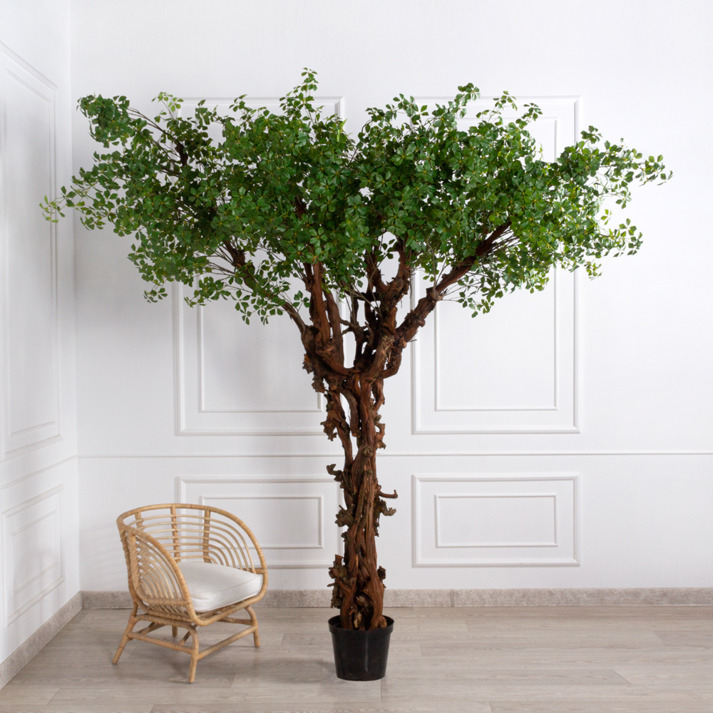 263/ОС/84(з)(F) Шеффлера искусственная Компакта h220см, d240см_1