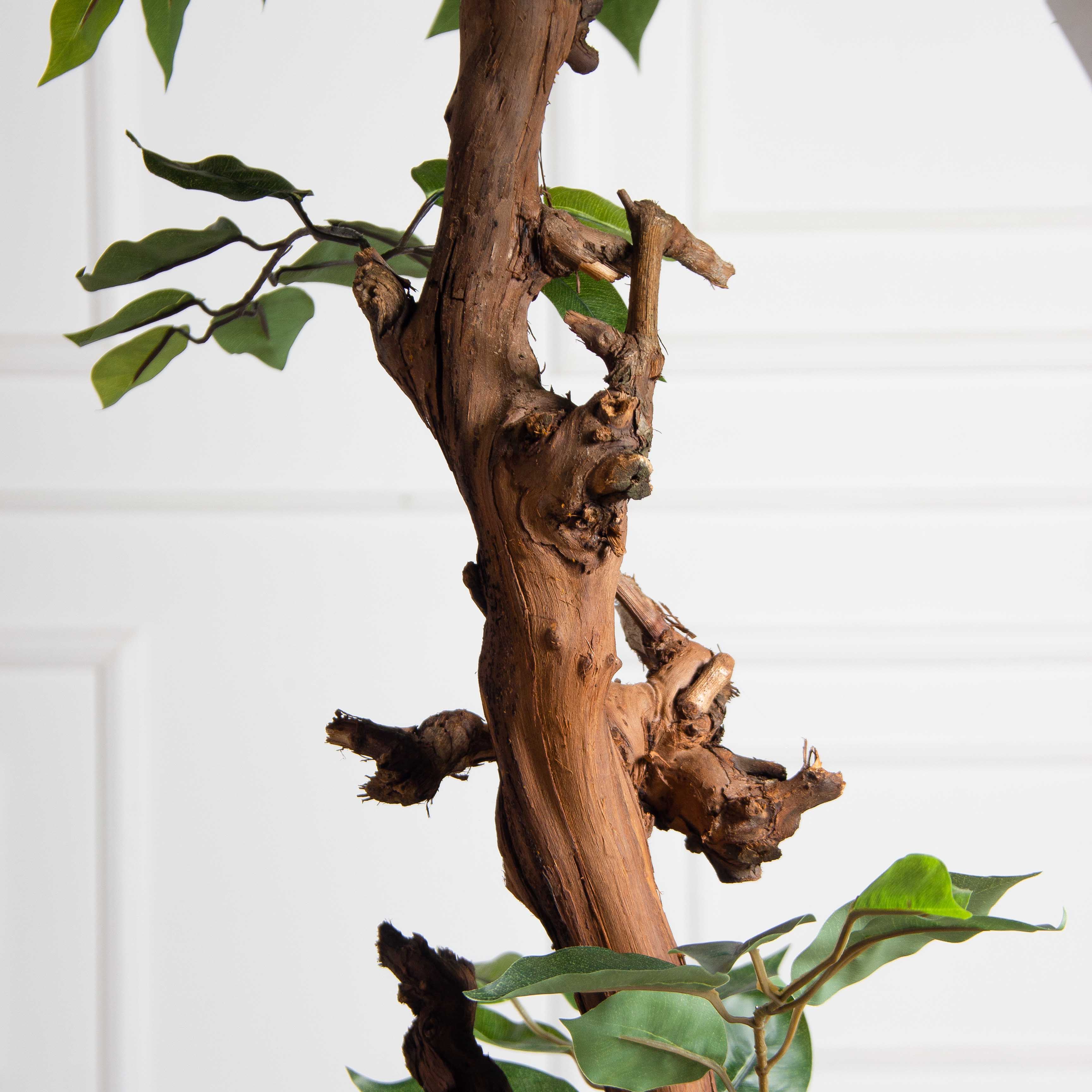 160/ОС/34(Пр)(F) Фикус искусственный h160см (латекс)_4