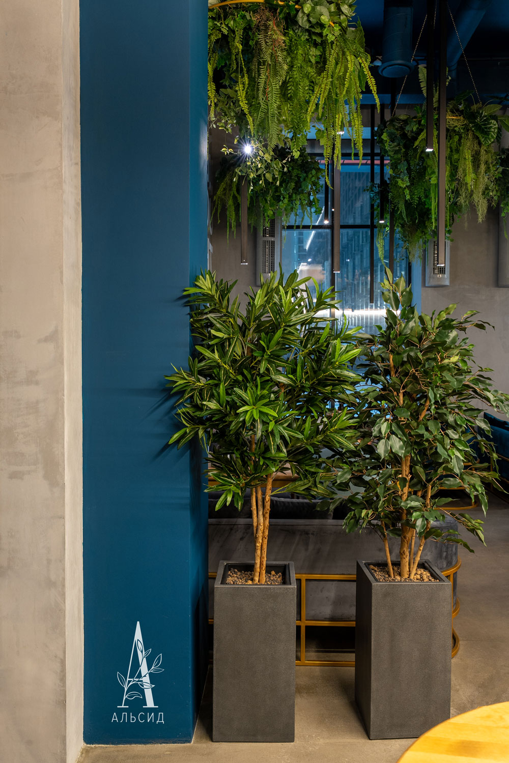 150/УК/300(F) Фикус искусственный мелколистный (латекс) h150см_3