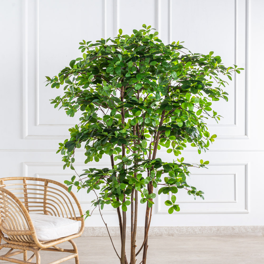 160/РН/84-1(з)(F) Шеффлера искусственная h160см d100см, латекс_3