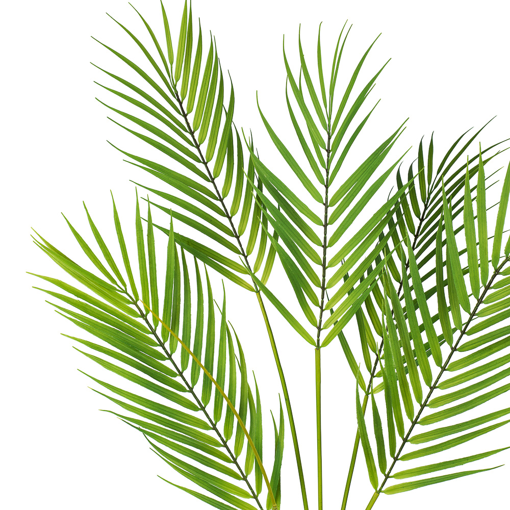 7143/0117-60 Пальма кустовая 60см (5листов)_2