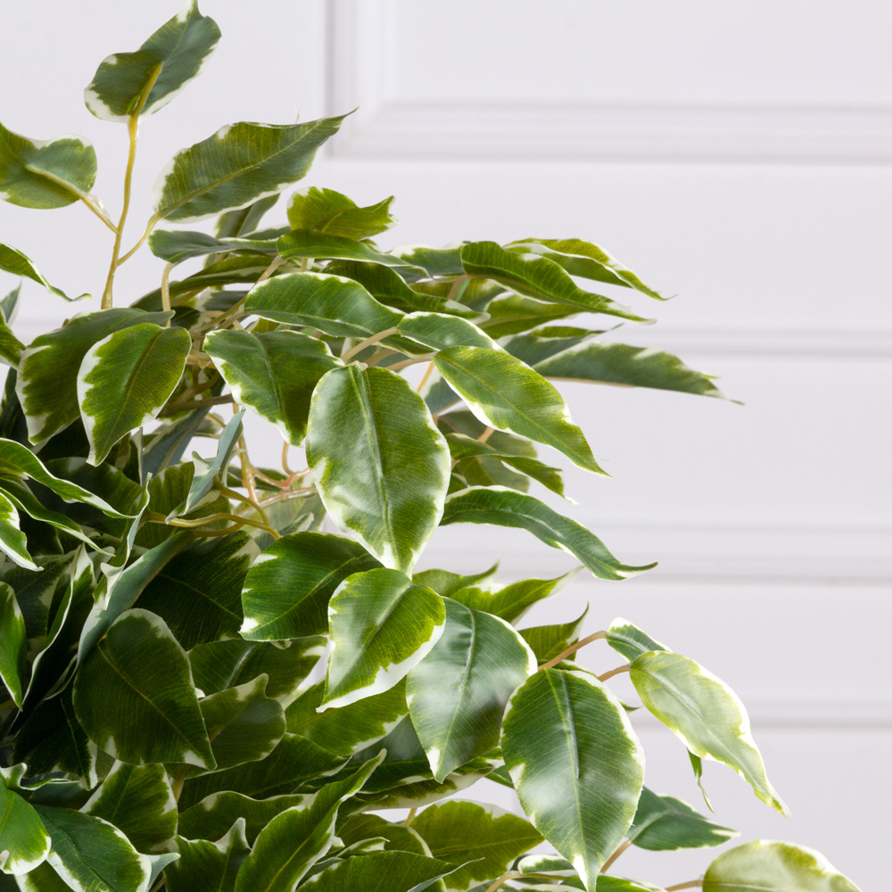 ВМ8 Вставка модуль Фикус пестрый h50см (латекс)_9