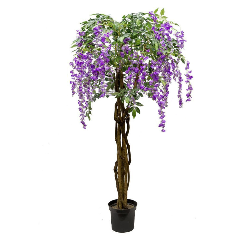 180/ССТ/ПЛ/424-2 Глициния (вистерия) сиреневая, сложный ствол h180см(латекс)